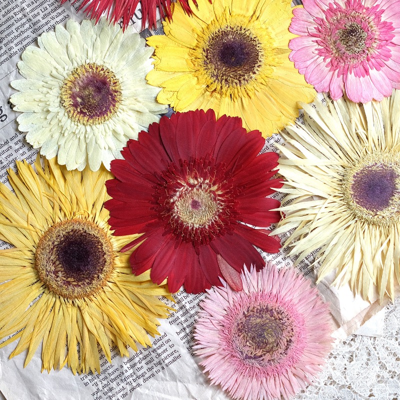 1pcs/7-9cm,Pressed Gerbera Dri - Resin Art Phone Case recension och pris