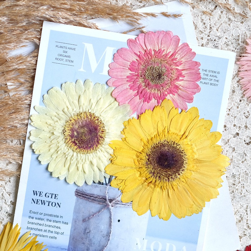 1pcs/7-9cm,Pressed Gerbera Dri - Resin Art Phone Case recension och pris