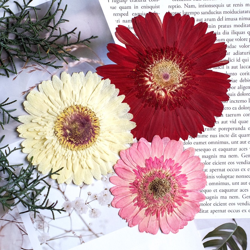 1pcs/7-9cm,Pressed Gerbera Dri - Resin Art Phone Case recension och pris