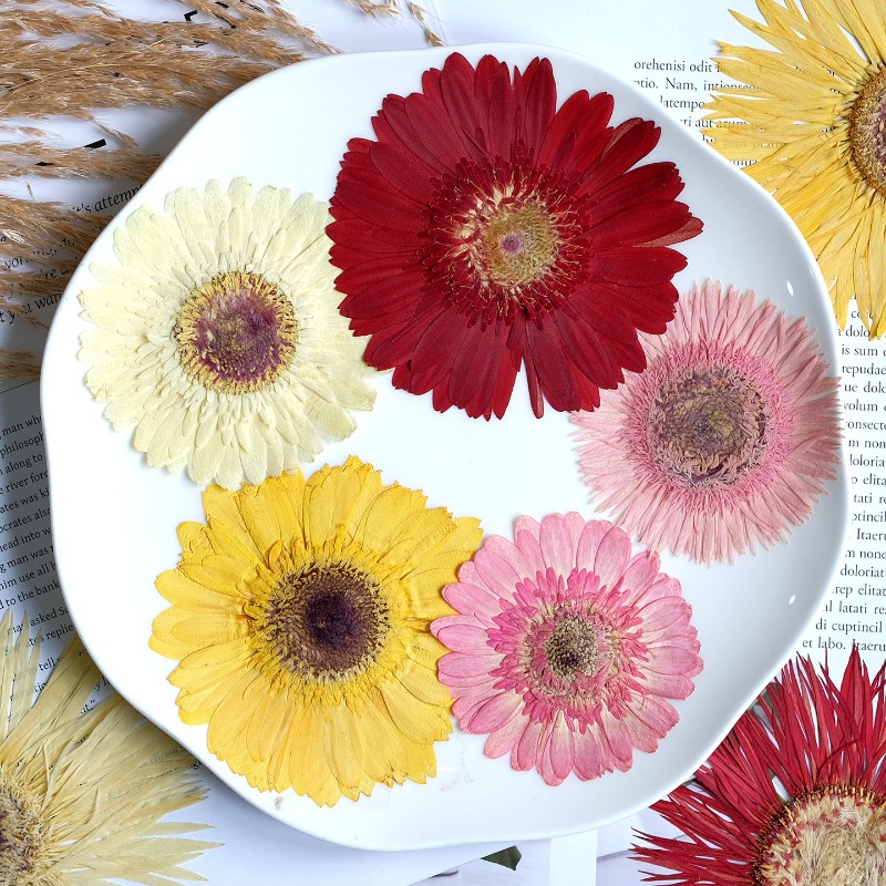 1pcs/7-9cm,Pressed Gerbera Dri - Resin Art Phone Case recension och pris